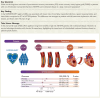 Graphical Abstract