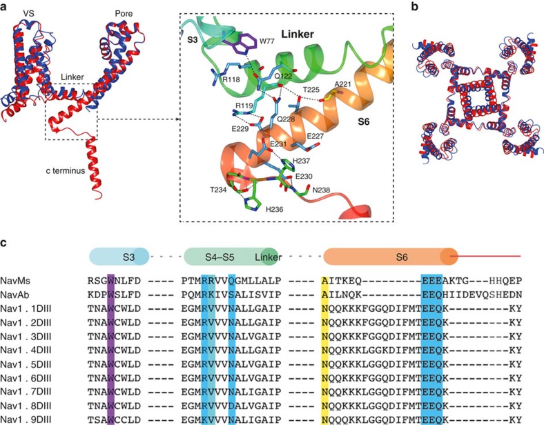 Figure 5