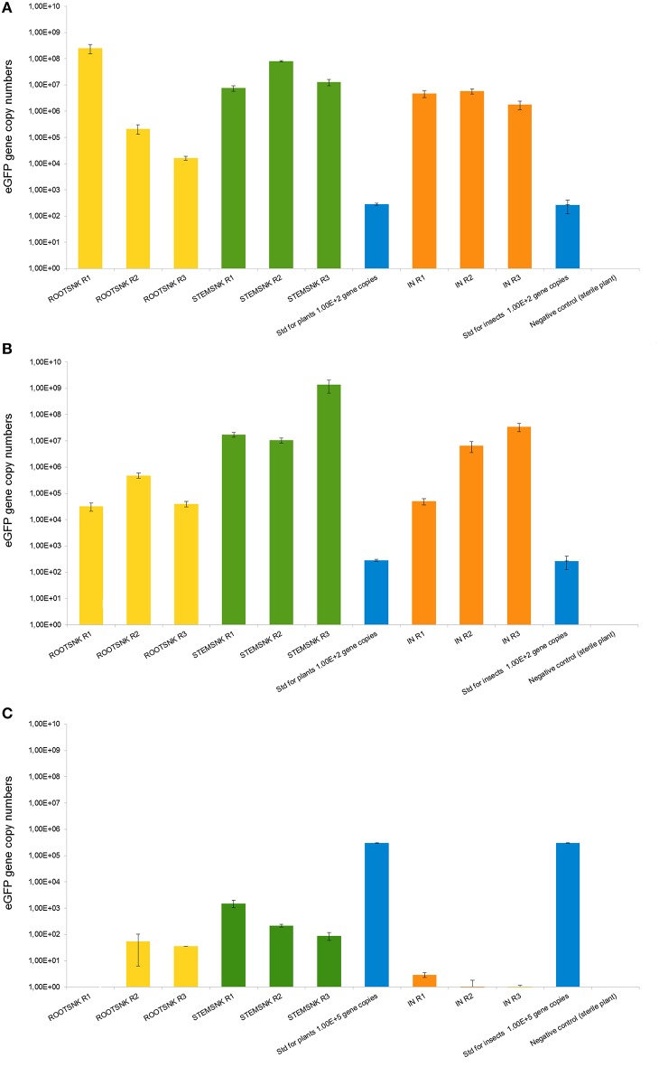 Figure 6