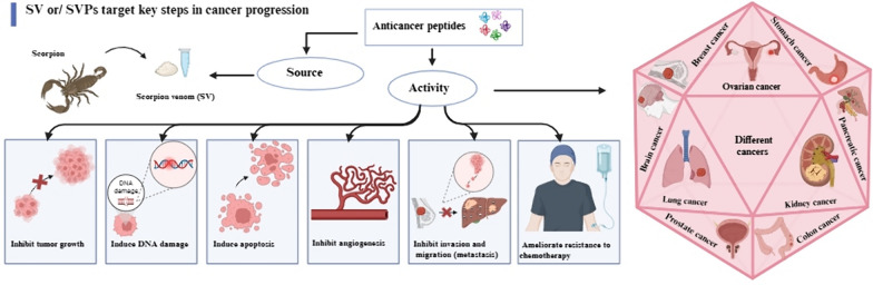 graphic file with name 40643_2024_805_Figa_HTML.jpg