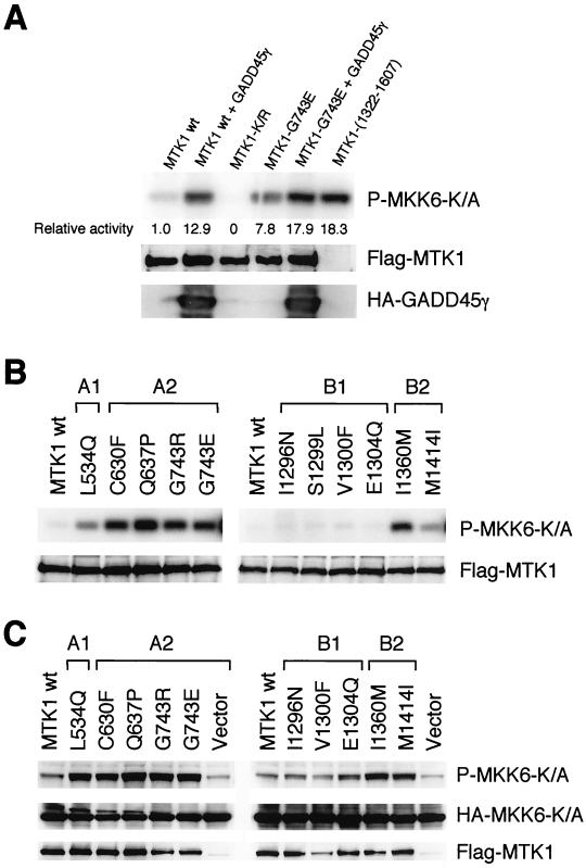 FIG. 8.