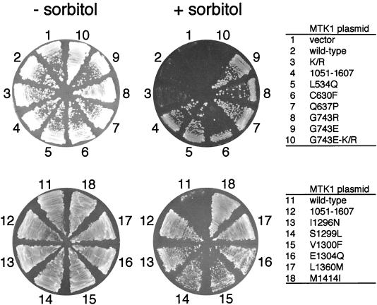 FIG. 7.