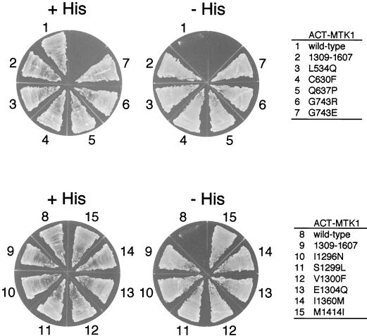 FIG. 5.