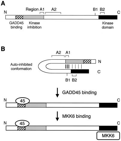 FIG. 10.