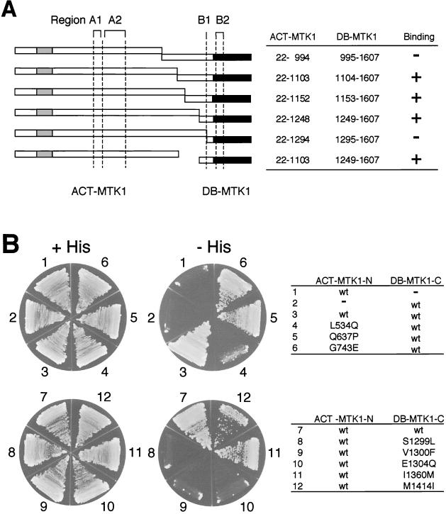 FIG. 9.