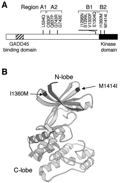 FIG. 6.