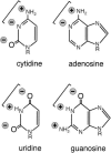 FIGURE 7.