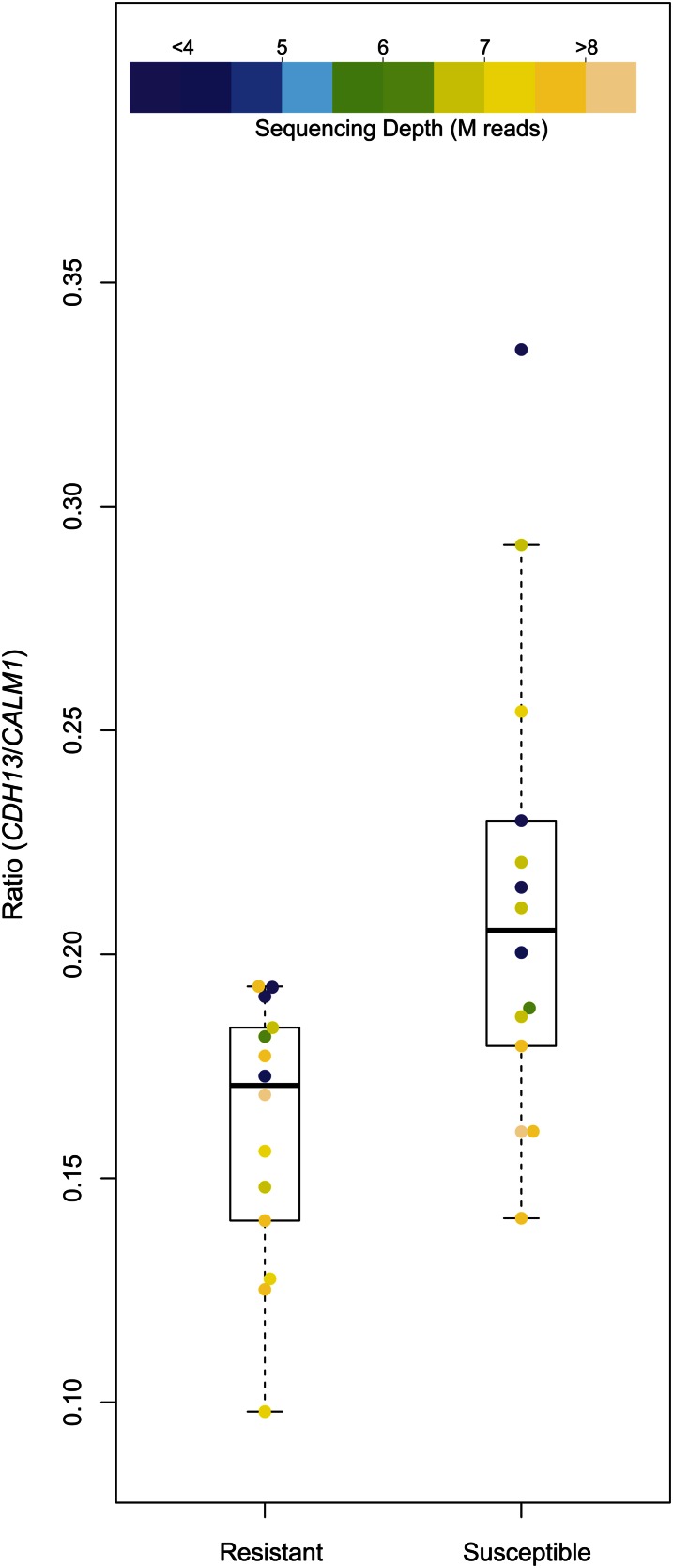 Figure 6