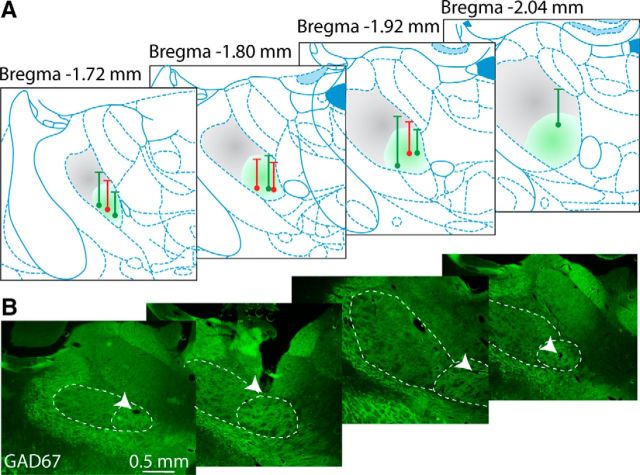 Figure 2.