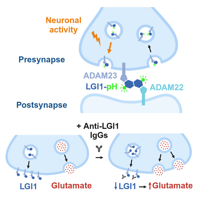 graphic file with name fx1.jpg