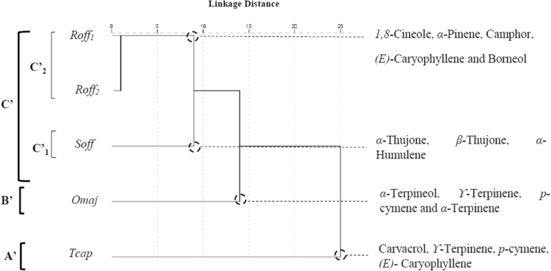 Fig. 5