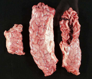 Figure 16.22