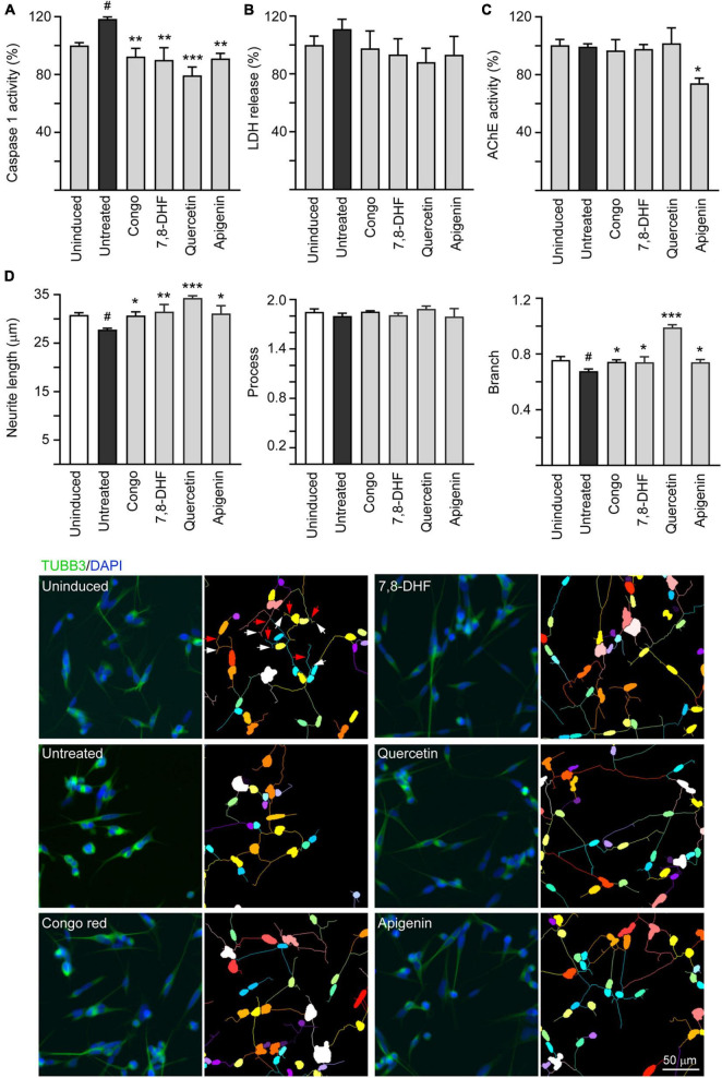 FIGURE 4