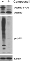 FIGURE 9.