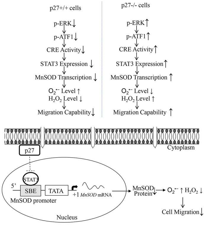 Fig. 9.