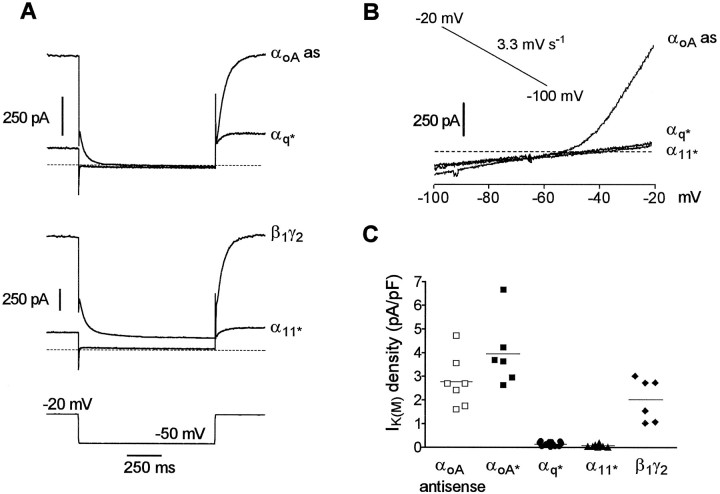 Fig. 8.