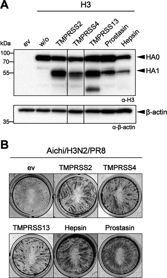 Figure 6.