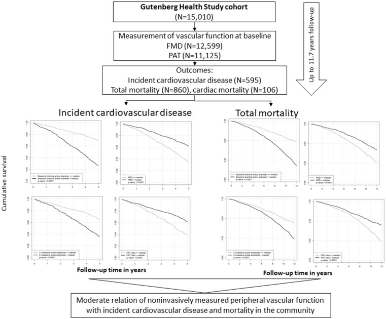 graphic file with name cvab087f3.jpg