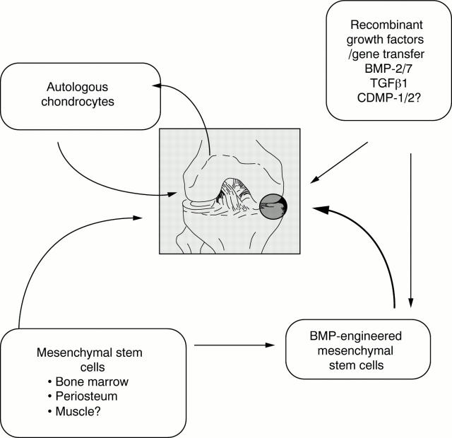 Figure 1  