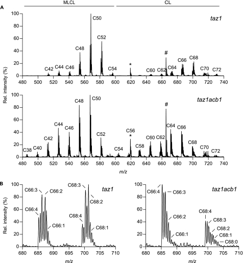 FIGURE 4.