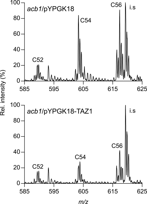 FIGURE 5.