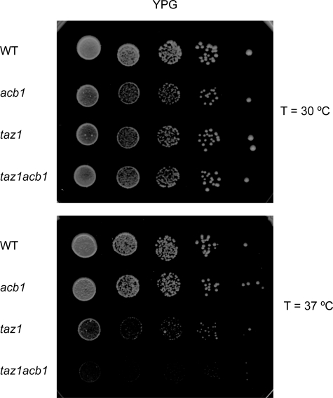 FIGURE 3.