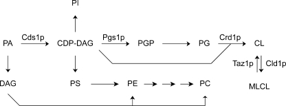 FIGURE 1.