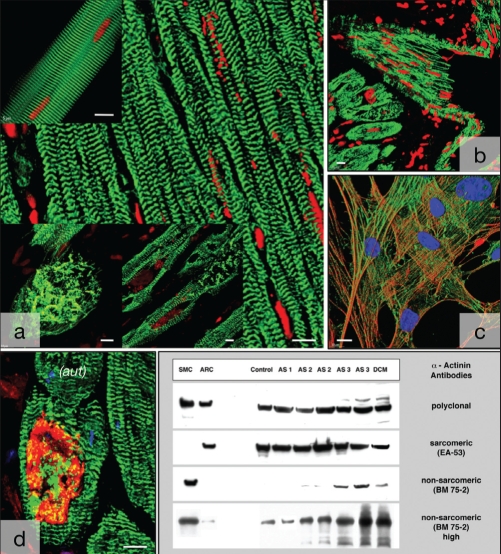 Figure 3)