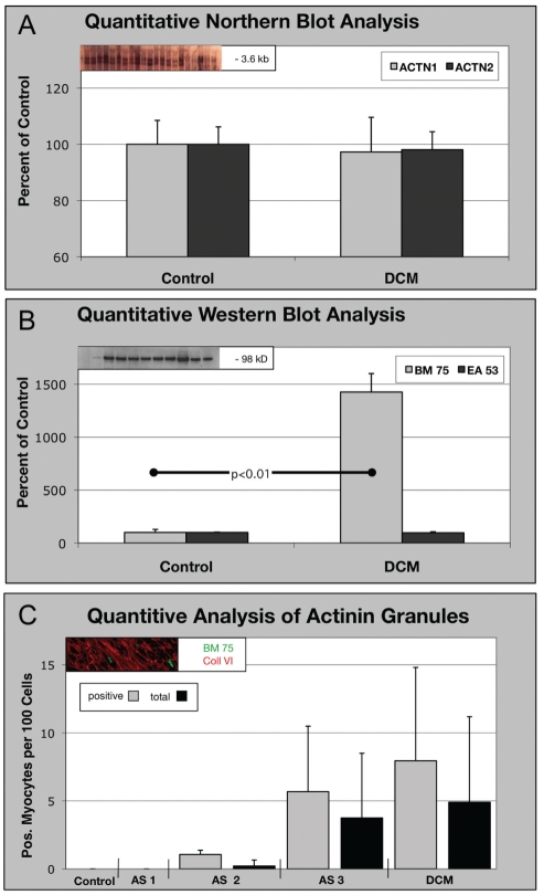 Figure 5)