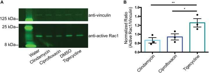 FIG 4