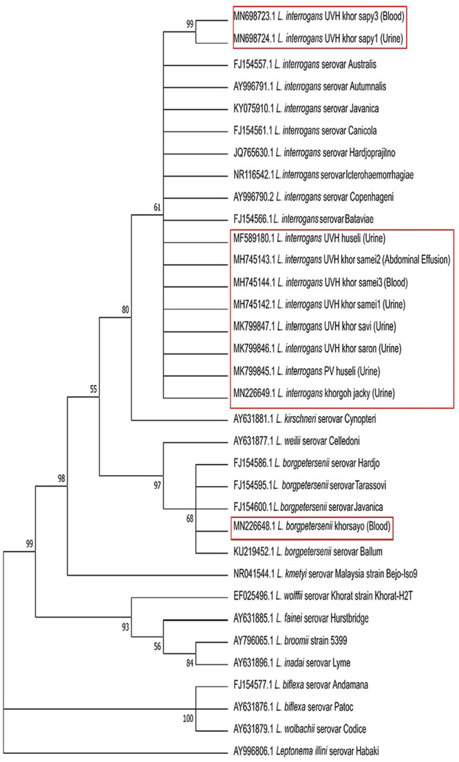 Figure 5.