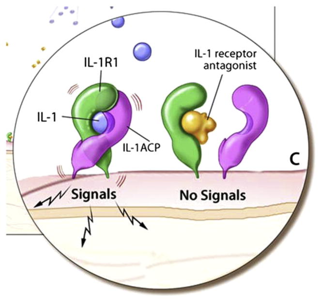 FIG 2