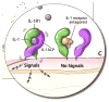 FIG 2