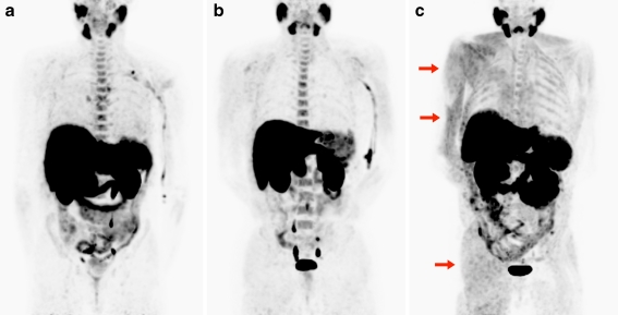 Fig. 2