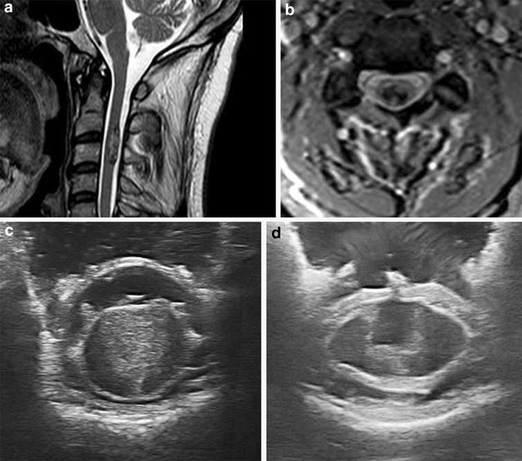 Fig. 5