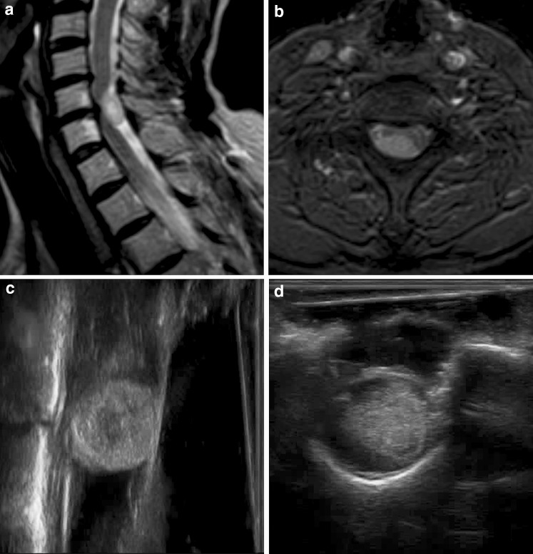 Fig. 4