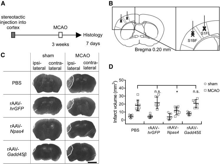 Figure 2