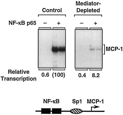 FIG. 6.