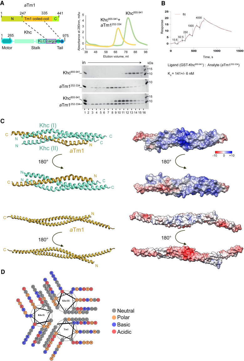 Figure 5.