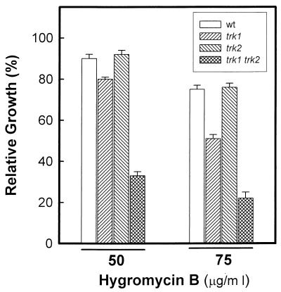 FIG. 6