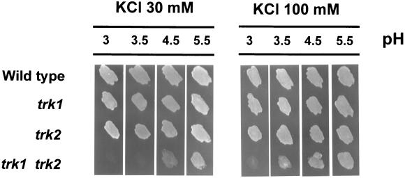 FIG. 7