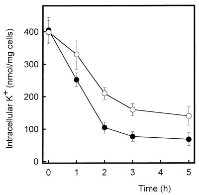 FIG. 5