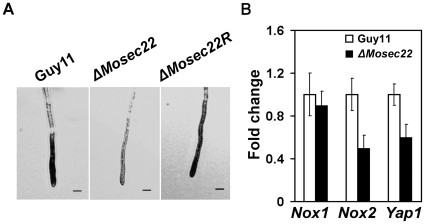 Figure 9