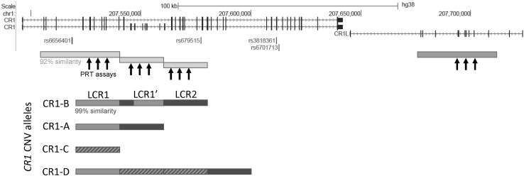 Fig. 1