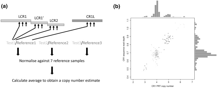 Fig. 2