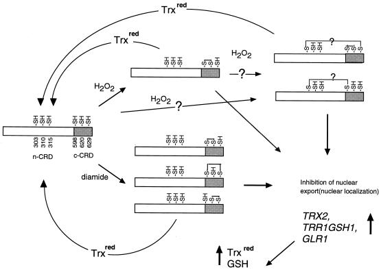 FIG. 7