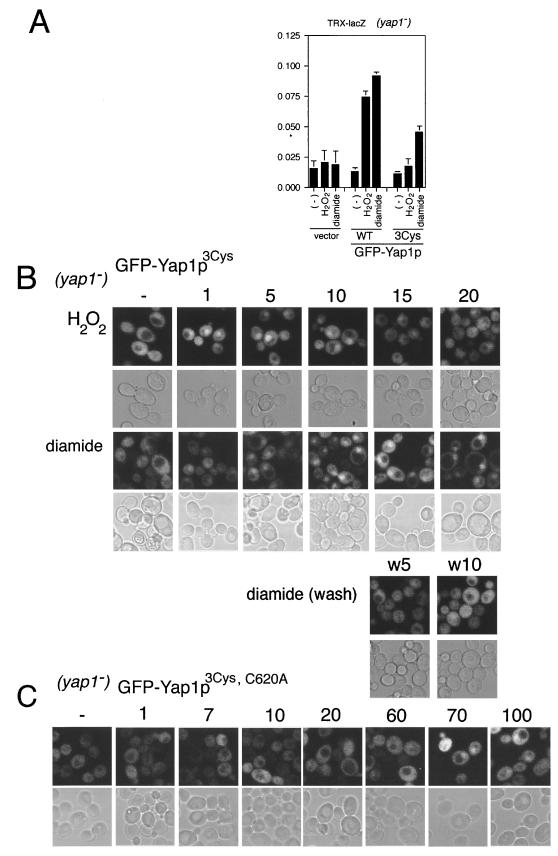 FIG. 4