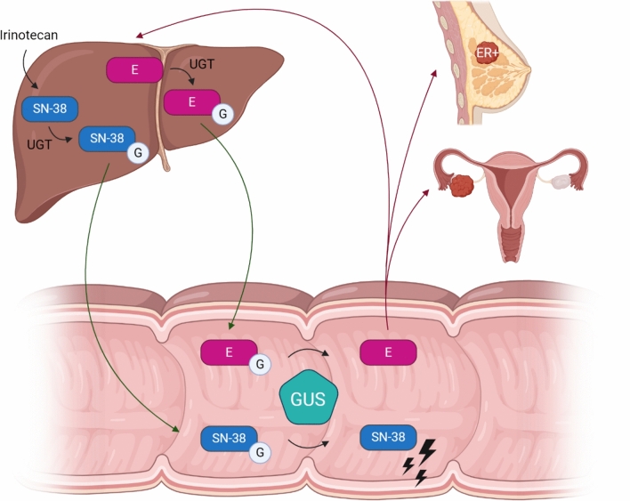 Fig. 1