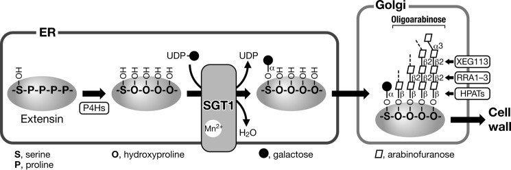 FIGURE 10.