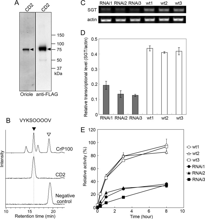 FIGURE 7.